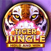 Hình ảnh minh họa thu thập dữ liệu an toàn của 2king88 app