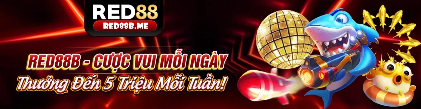Hình ảnh minh họa tuân thủ GDPR của 2king88 app